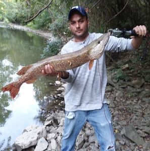 Meet your Posher, Michael